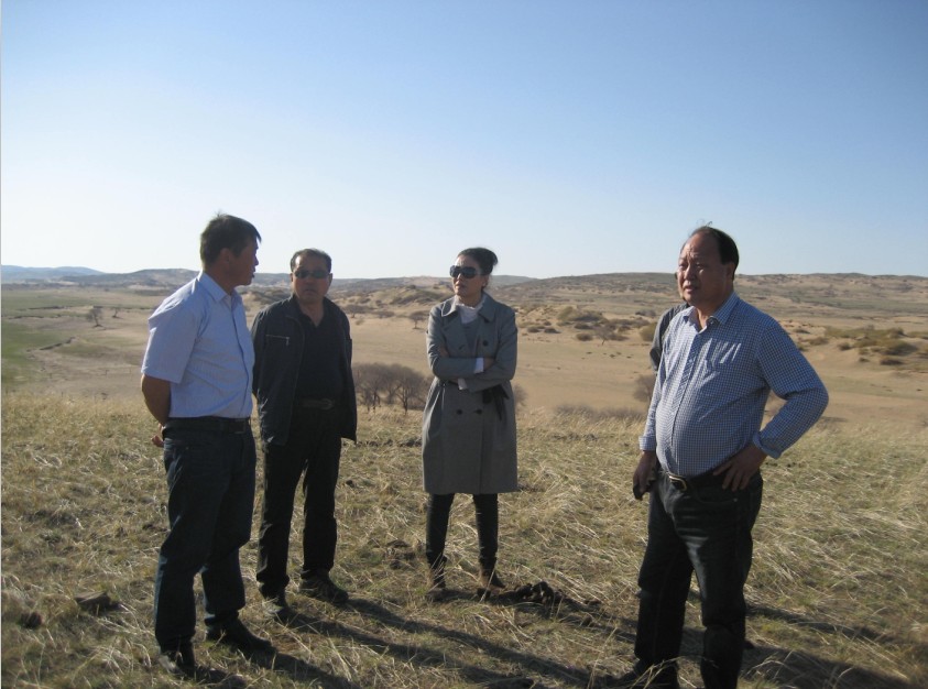 發(fā)揮資源優(yōu)勢，提高產(chǎn)業(yè)鏈競爭力——協(xié)會為企業(yè)間的合作搭建平臺