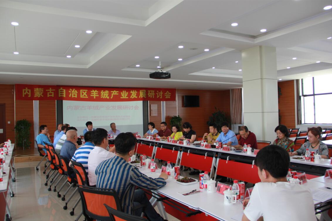 齊心協(xié)力，共謀內(nèi)蒙古羊絨產(chǎn)業(yè)發(fā)展新思路