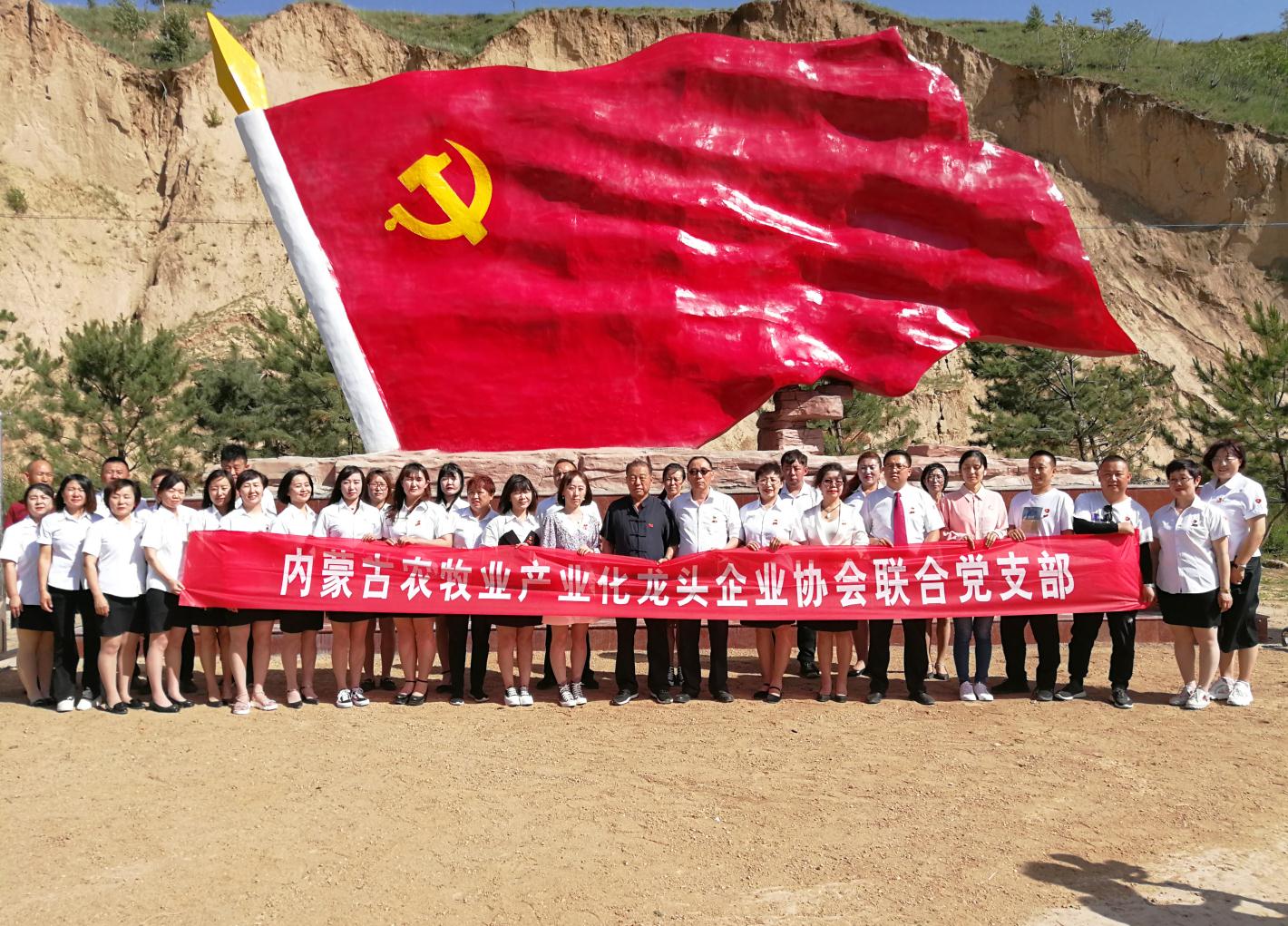 內(nèi)蒙古農(nóng)牧業(yè)產(chǎn)業(yè)化龍頭企業(yè)協(xié)會走進石人灣村開展“辦實事、解難題，送溫暖，傳黨恩”公益活動